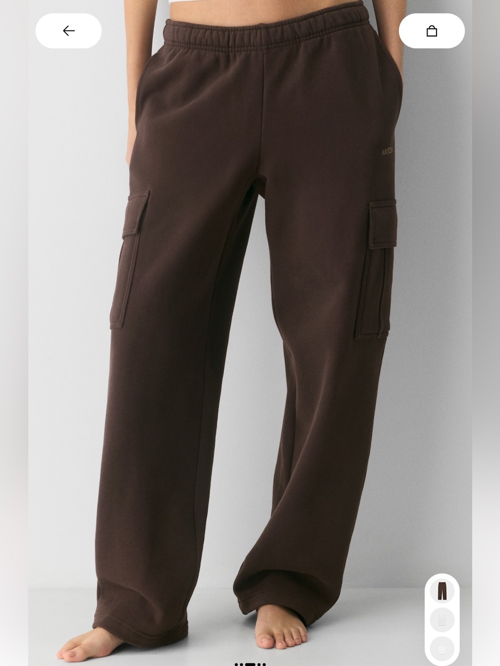 Aritzia cargo jogger size M petite